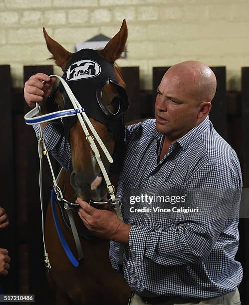 Trainer Peter Moody saddles up Flamberge before winning Race 6, the Mitchelton Wines William Reid Stakes during Melbourne Racing at Moonee Valley...