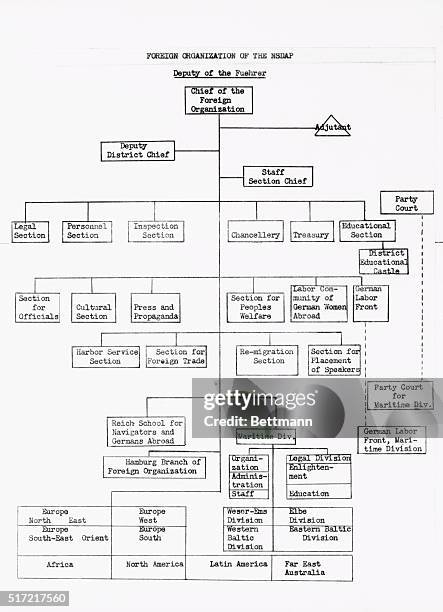 Attorney General Francis Biddle revealed in Washington, D.C., on November 27, 1941 that this chart is a detailed blueprint for the organization of...