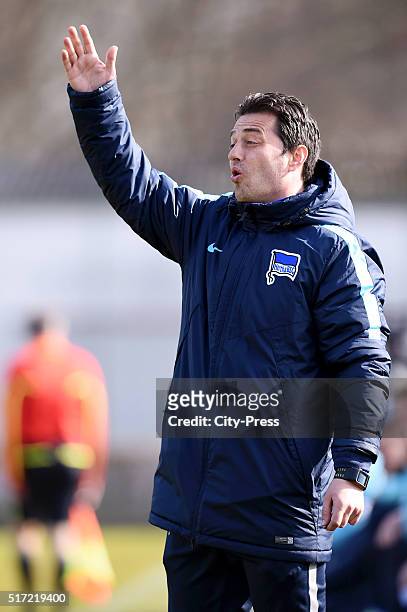 Coach Ante Covic of the U23 of Hertha BSC during the test match between Hertha BSC and Hertha BSC U23 on March 24, 2016 in Berlin, Germany.