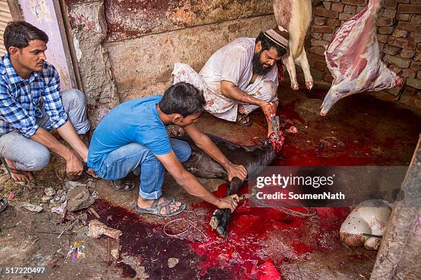 animals being sacrificed to mark eid ul-adha. - eid al adha stock pictures, royalty-free photos & images