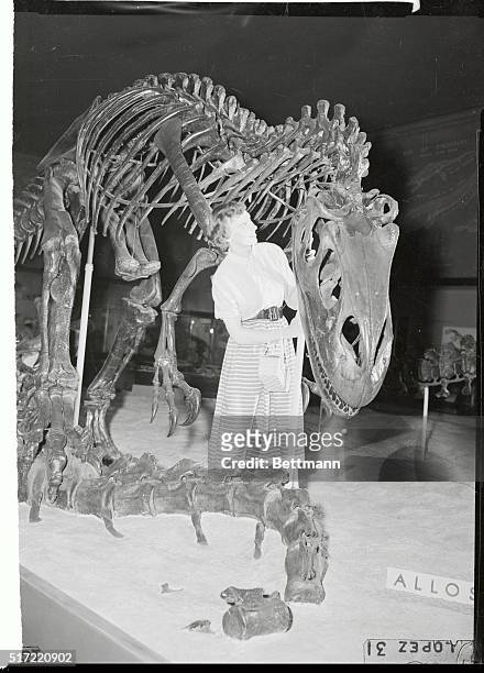 There is nothing like looking at an Allosaurus from the inside out, especially when the giant reptile is only a skeleton handsomely mounted in the...