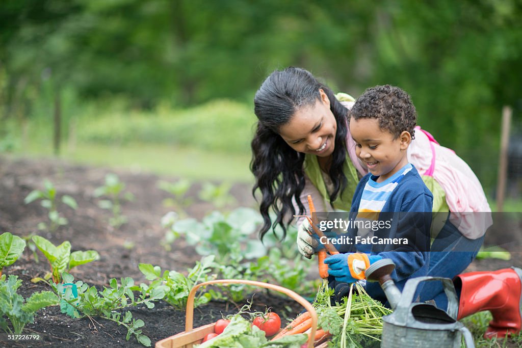 Mother and Son Gardening Together