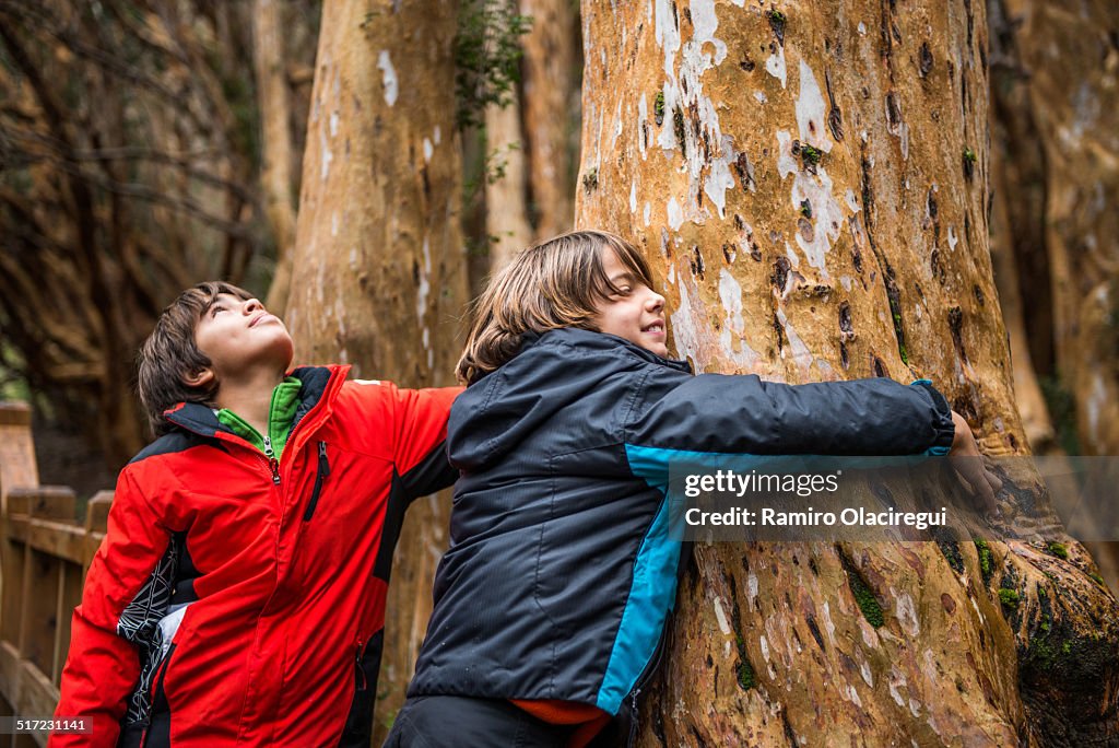 Boy hugging tree. Bosque de los arrayanes.