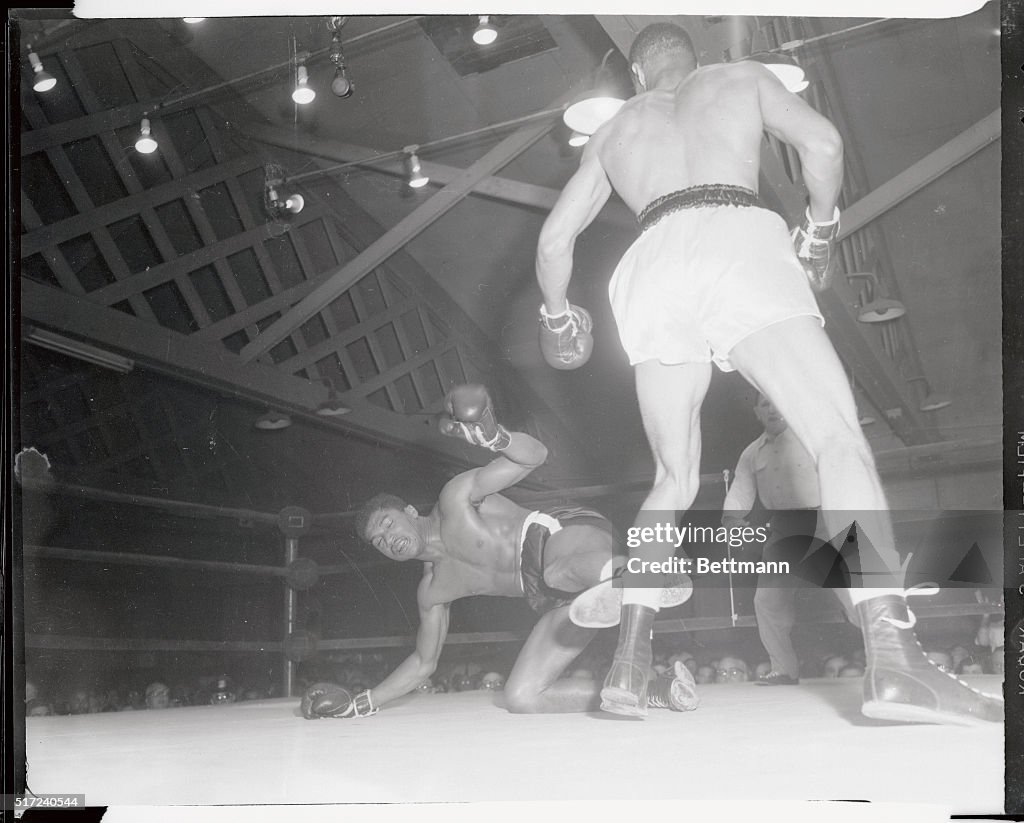 Willie Troy and Tony Anthony in Boxing Action
