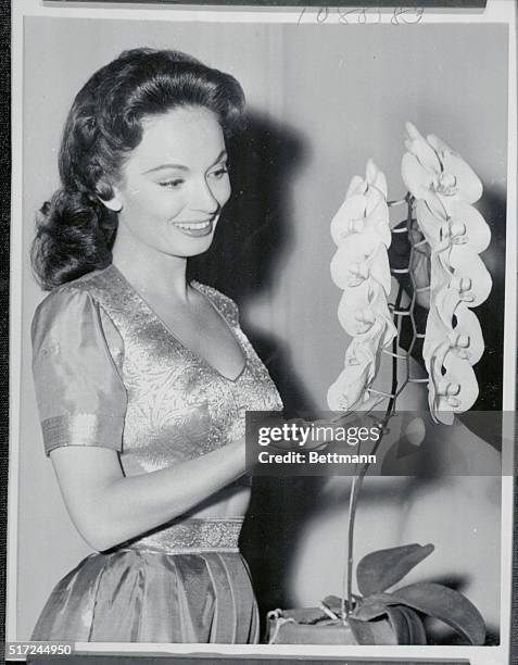 181 Actress Ann Blyth Stock Photos, High-Res Pictures, and Images