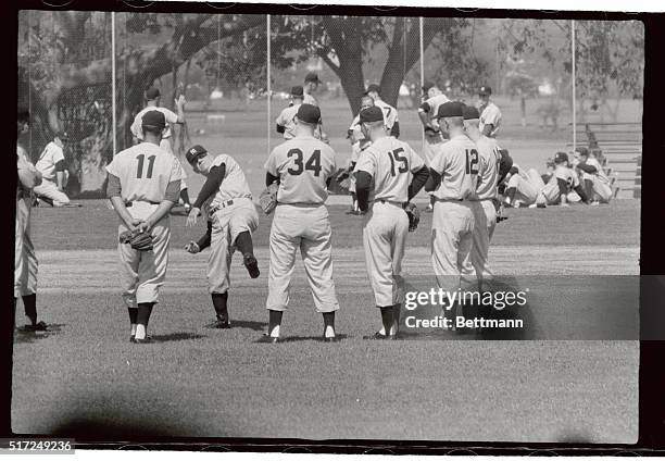 Putting his all into it, Yankee manager Casey Stengel shows his Rookie outfielders the proper form for firing that perfect strike to the plate at the...