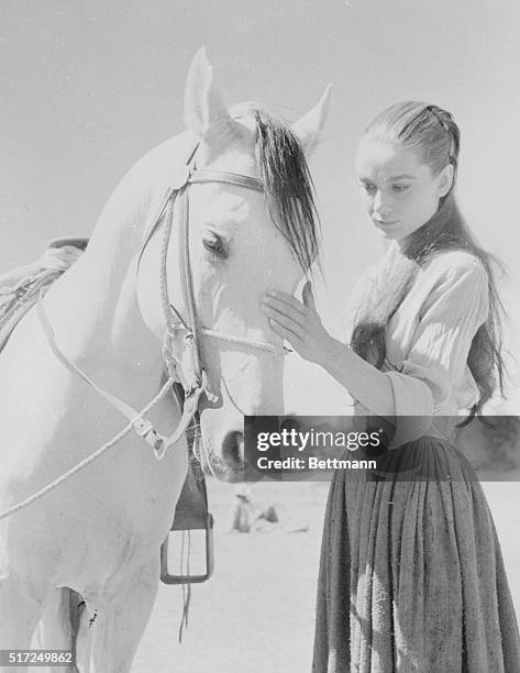 Her first day back on the set for The Unforgiven, actress Audrey Hepburn pets the horse here that threw her a month ago. Back injuries she received...