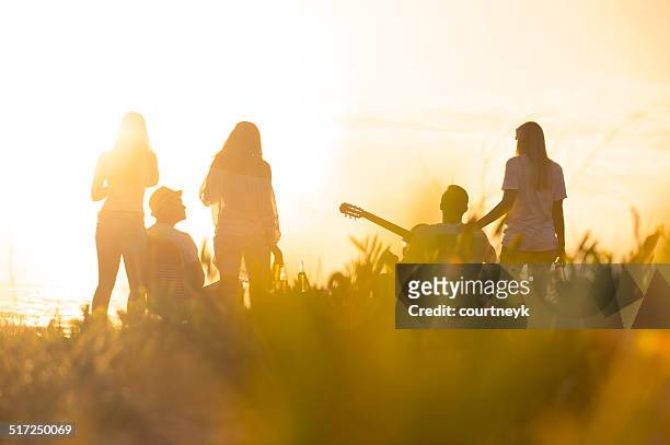 sunset beach party with a group of friends. - sunset silhouette back lit stock pictures, royalty-free photos & images
