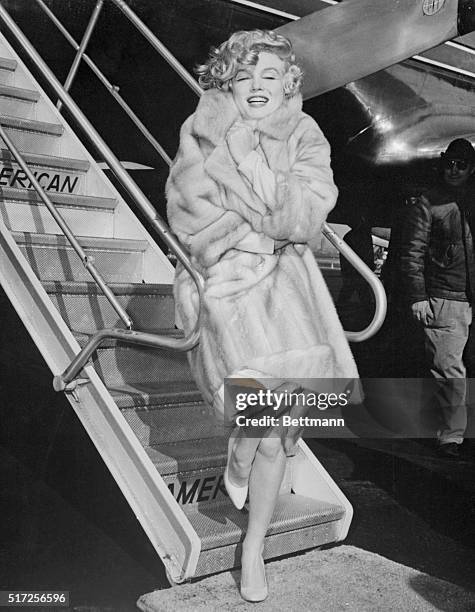 Actress Marilyn Monroe snuggles into her fur coat to escape the icy winds at La Guardia airport here March 18th. Marilyn flew to Chicago for the...