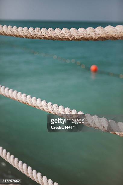 beach detail - swimming lane marker bildbanksfoton och bilder