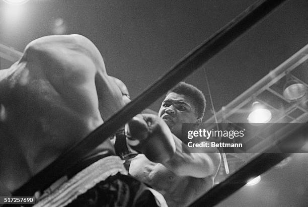 Cassius Clay, former light-heavyweight champion from Louisville, is shown as he beats down Charley Powell in the third round of their fight here in...