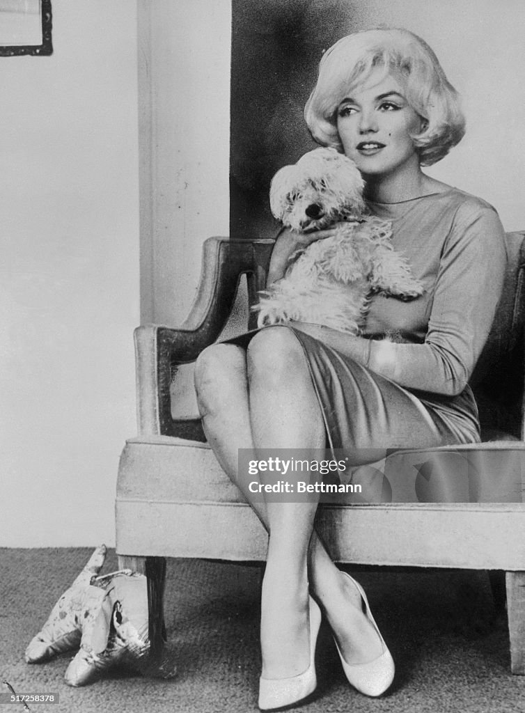 Actress Marilyn Monroe Holding Dog