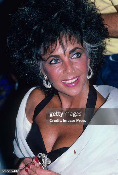 Elizabeth Taylor attends Forbes Magazine's 70th Anniversary Celebration at the private estate of Malcolm Forbes on May 28, 1987 in Far Hills, New...