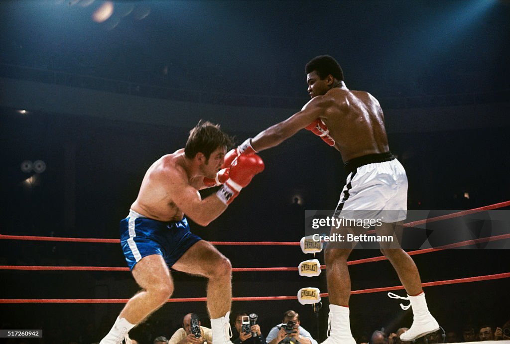 Muhammad Ali and Jerry Quarry During Bout