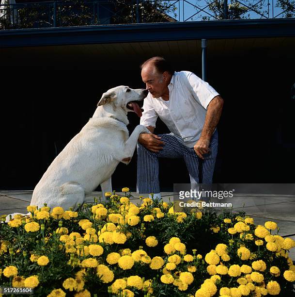 Toluca Lake, California: Nose-to-nose in front of the marigolds are Bob Hope and his Alsation "My Dog" as they prepare for what looks like a new dog...