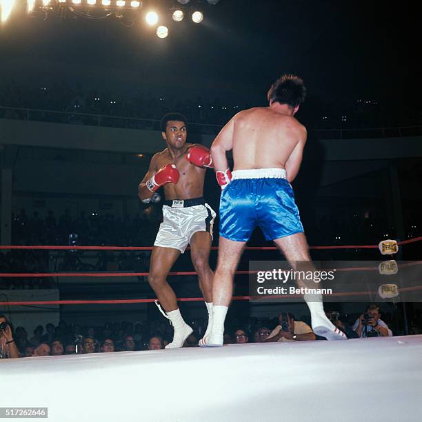 Cassius Clay , the once and possibly future heavyweight champion of the world, moves in on a wary Jerry Quarry during the final moments of the third...