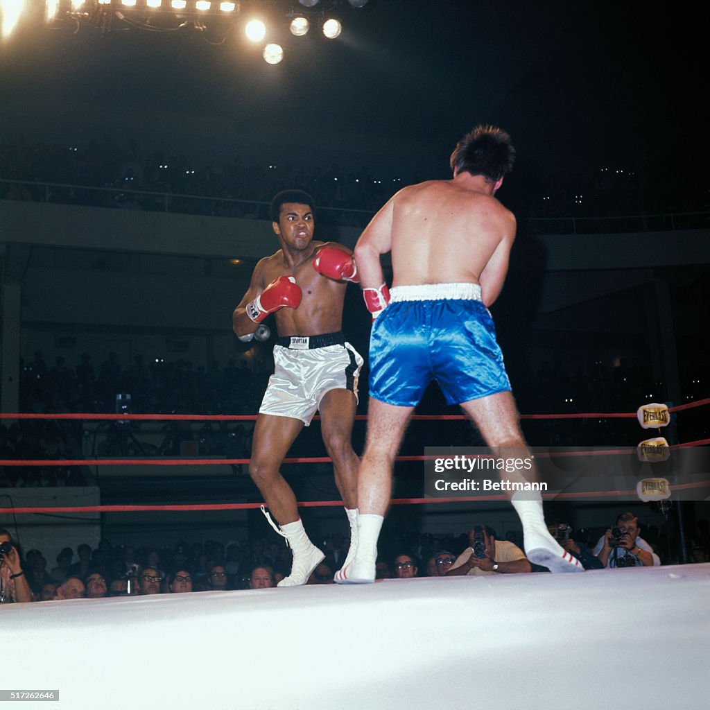 Muhammad Ali and Jerry Quarry During Bout