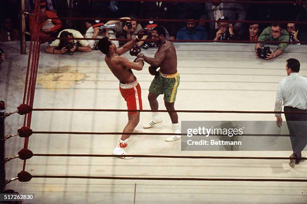Muhammad Ali Rtpnd 1,291 Muhammad Ali Madison Square Garden Photos & High Res Pictures ...