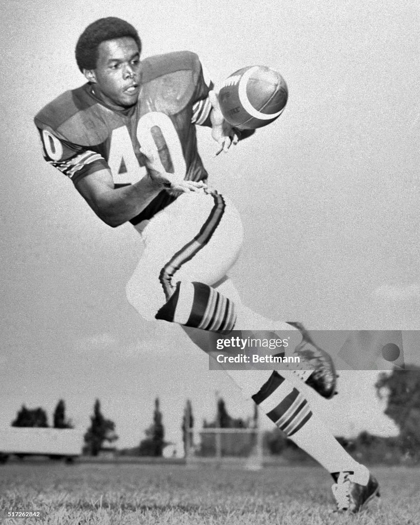 Gale Sayers of the Chicago Bears Making a Running Catch