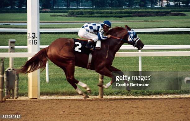 With his hooves off the ground, Secretariat flies around the final turn of the Belmont Stakes leading the field by a wide margin. The super horse...