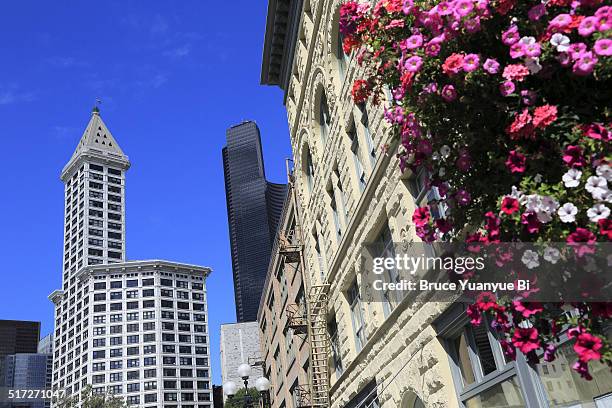 smith tower - smith tower bildbanksfoton och bilder