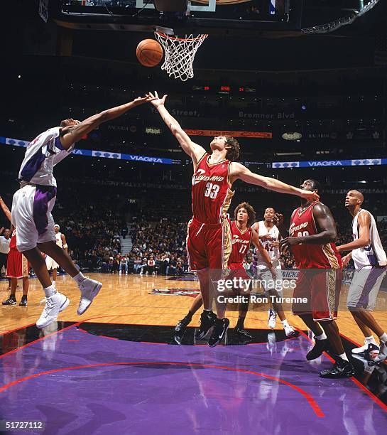 Luke Raptors Luke Peterson Photos and Premium High Res Pictures - Getty Images
