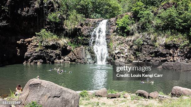 waimea valley waterfall - waimea valley stock pictures, royalty-free photos & images