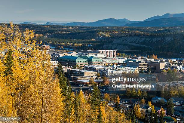 city of whitehorse in the yukon - whitehorse - fotografias e filmes do acervo