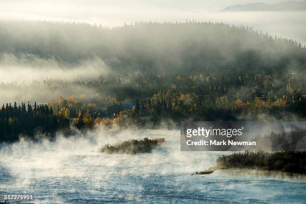 dawn over yukon river - yukon stock pictures, royalty-free photos & images
