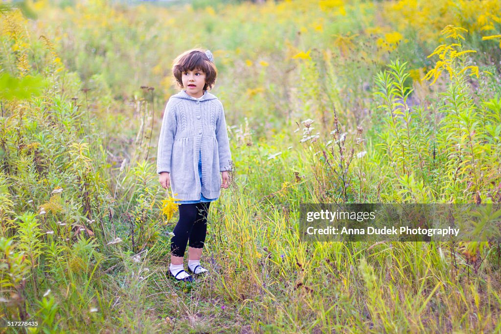 Five years old girl on a goldenrod field