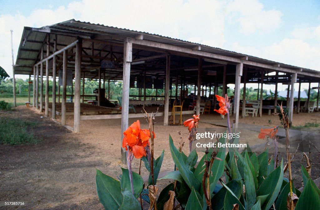 Flowers Growing by Jonestown Pavilion