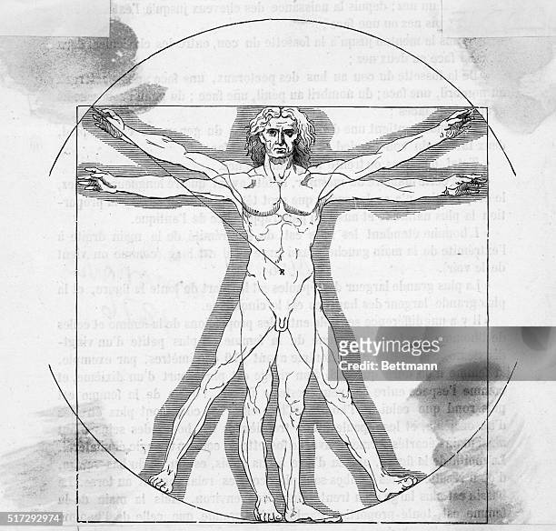 Leonardo da Vinci: The proportions of man. Line version. Undated illustration.