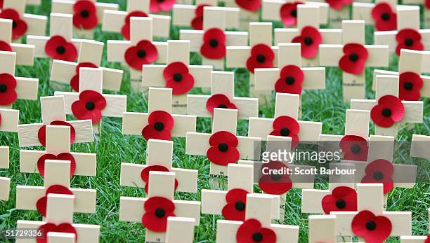 remembrance day service held at westminster abbey - red cross stock-fotos und bilder