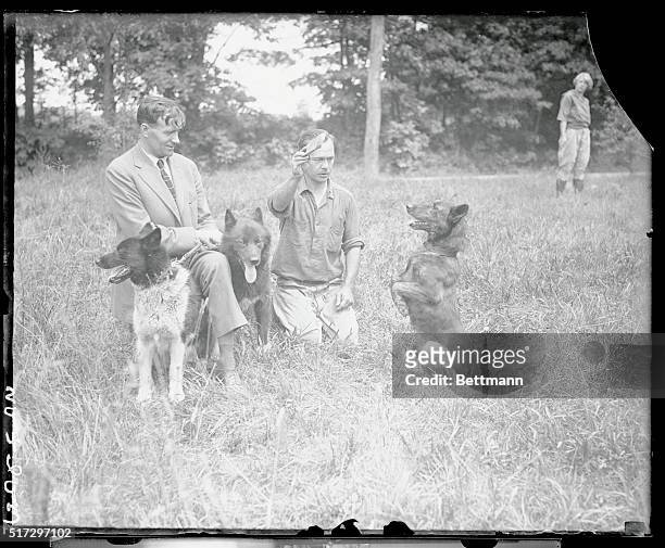 Balto and Silla, the lead dogs of Gunnar Kasson's famous team of Siberian wolfhounds which the wonderful trip to Nome, Alaska with the serum when...