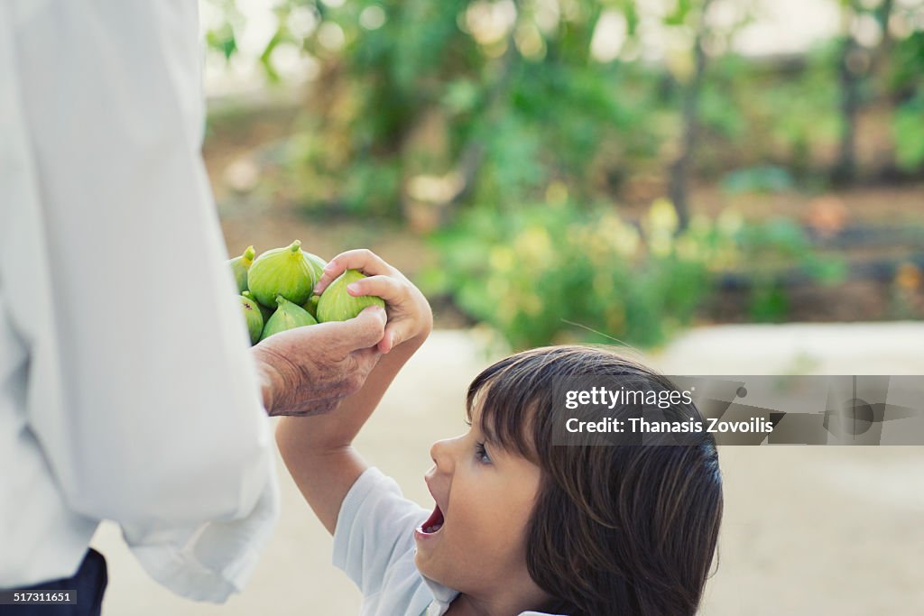 Grandfather gives figs to his grandson