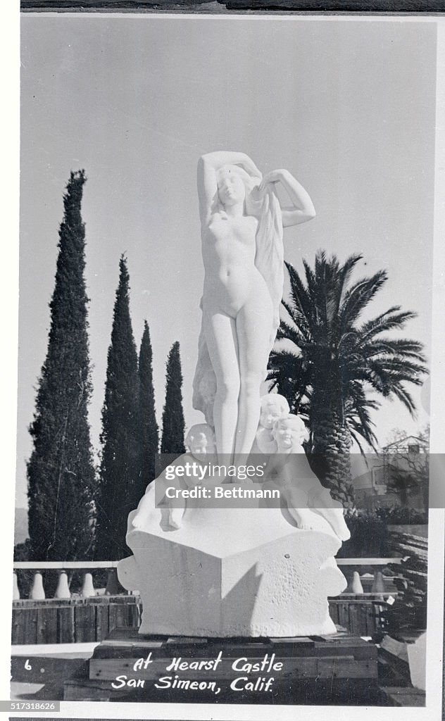 Trees and Statue on William R. Hearst's Estate