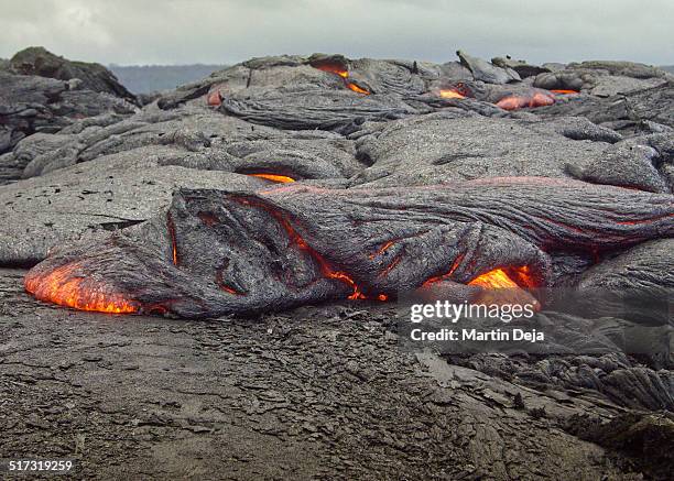 hilo volcano hawaii - vulkanisch gesteente stockfoto's en -beelden