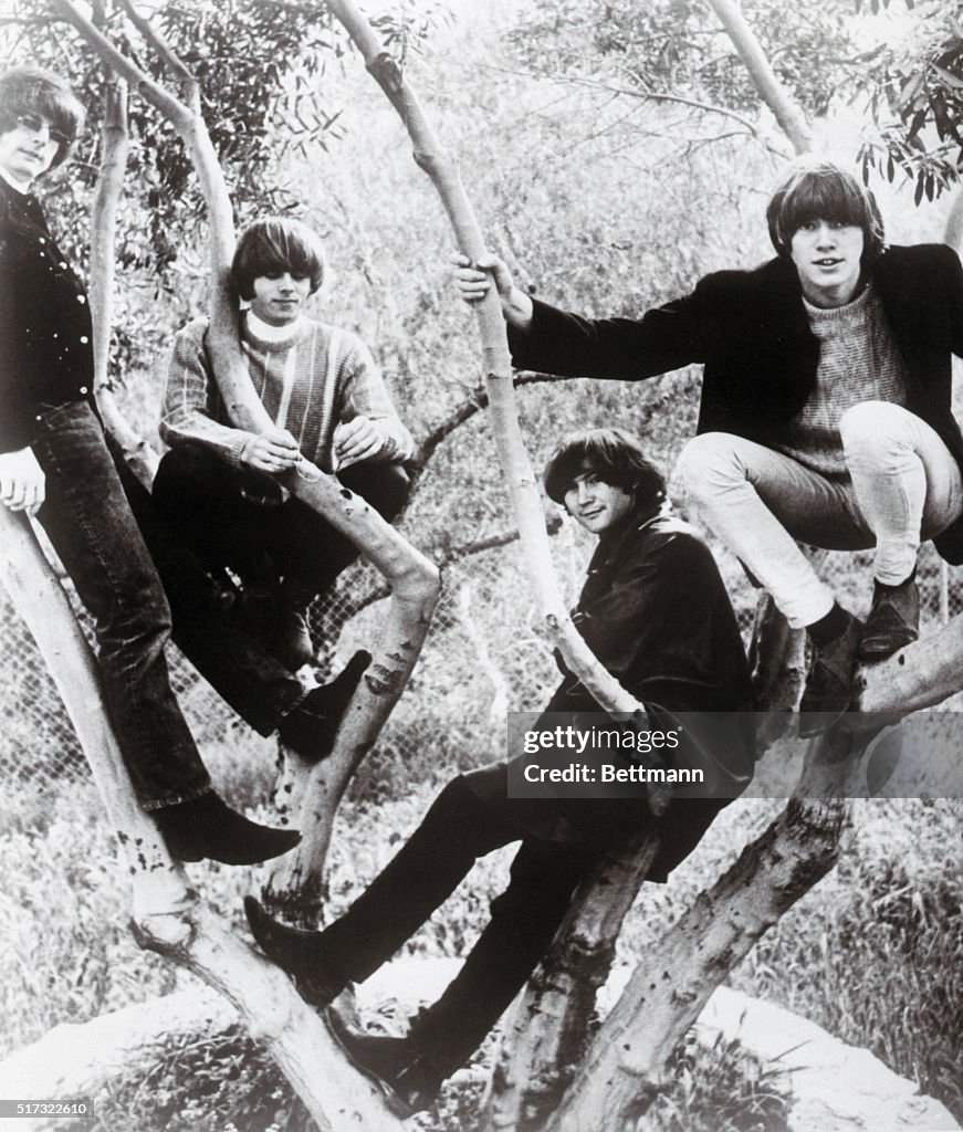 The Byrds Musical Group