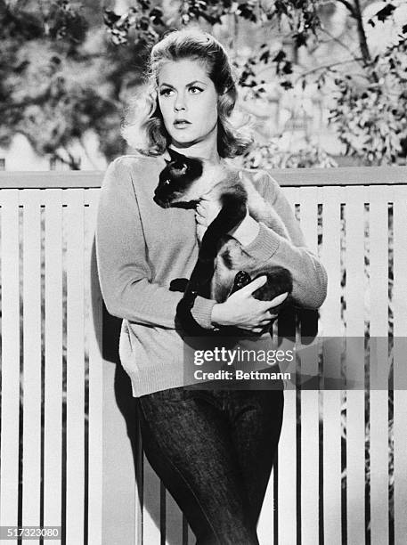 Elizabeth Montgomery as Samantha, with her cat, "Ling-Ling" from the TV show: "Bewitched." Ran from 1964-1972.