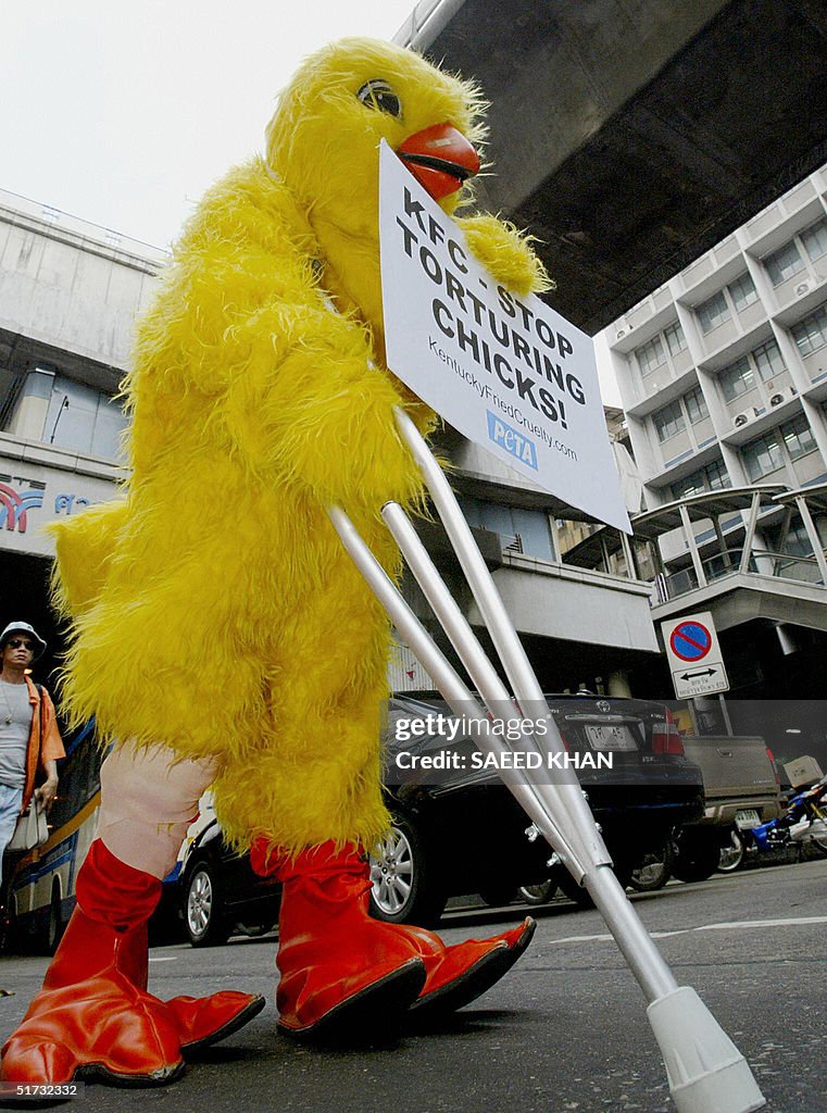 An activist wearing a chicken costume cr