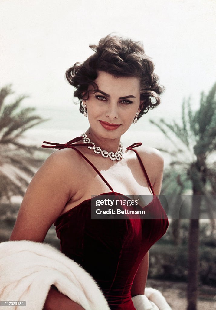 Actress Sophia Loren