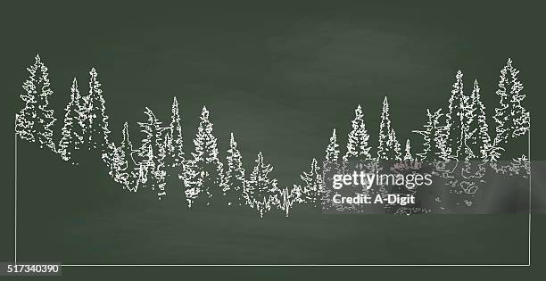 tafel forest - silhouette arbre stock-grafiken, -clipart, -cartoons und -symbole