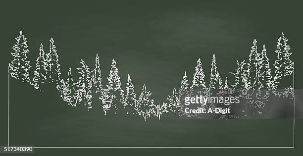 bildbanksillustrationer, clip art samt tecknat material och ikoner med chalkboard forest - pine woodland
