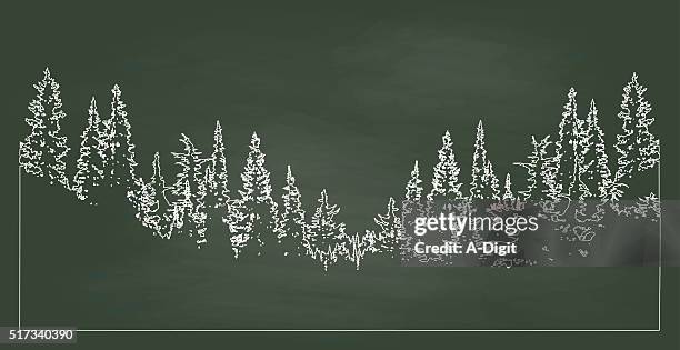 chalkboard forest - pine tree line drawing stock illustrations