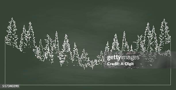 chalkboard forest - pine forest stock illustrations