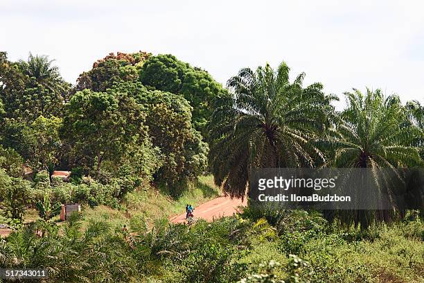 アクセス、ジャングルから道路を gbarnga モンロビア - liberia ストックフォトと画像