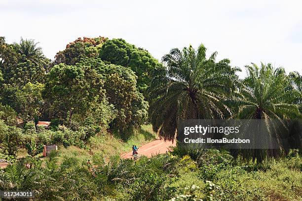 access, jungle road from monrovia to gbarnga - monrovia liberia 個照片及圖片檔