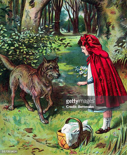 Lithograph depicting Little Red Riding Hood meeting the wolf in the woods. Undated illustration.