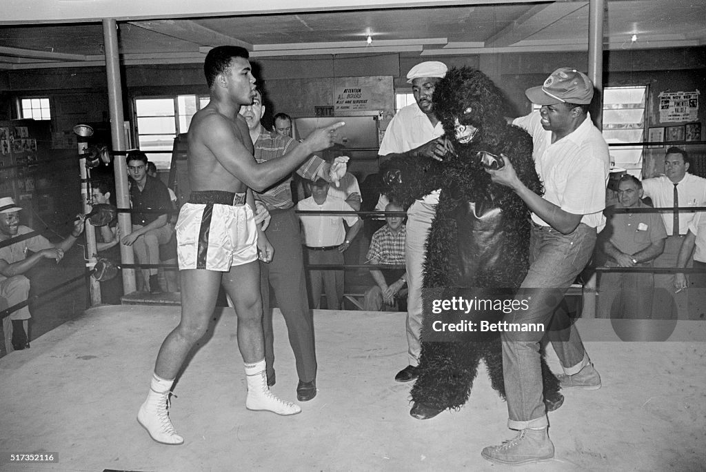 Cassius Clay in Ring