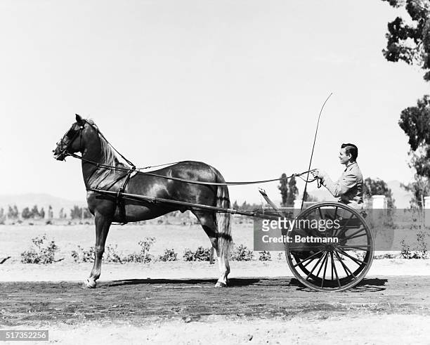 Clark Gable takes the reins for a brisk trot around the track on his valley ranch. The Metro-Goldwyn-Mayer star is much interested in the return to...